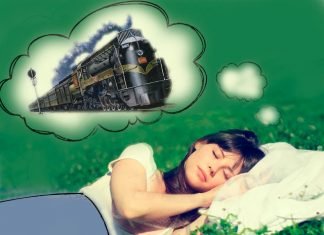Quel est le rêve du train