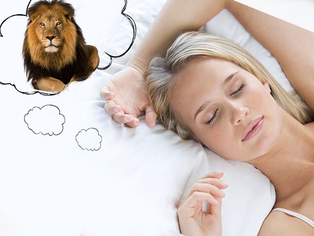Pourquoi une femme rêve-t-elle d'un lion?