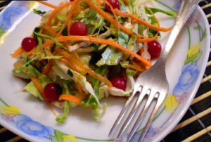 Salade de jeune chou, carottes et viorne