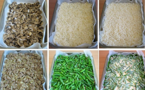 Tarte Changeling aux champignons, viande hachée et riz