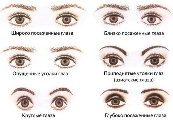 Forme des yeux