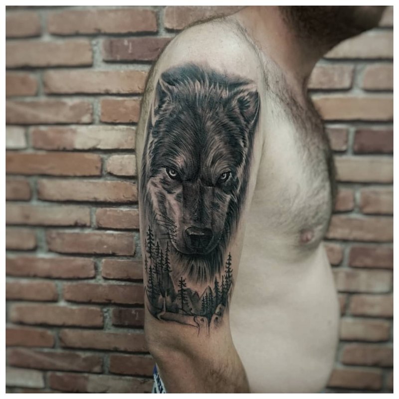 Ulv på en manns skulder - ekte tatovering