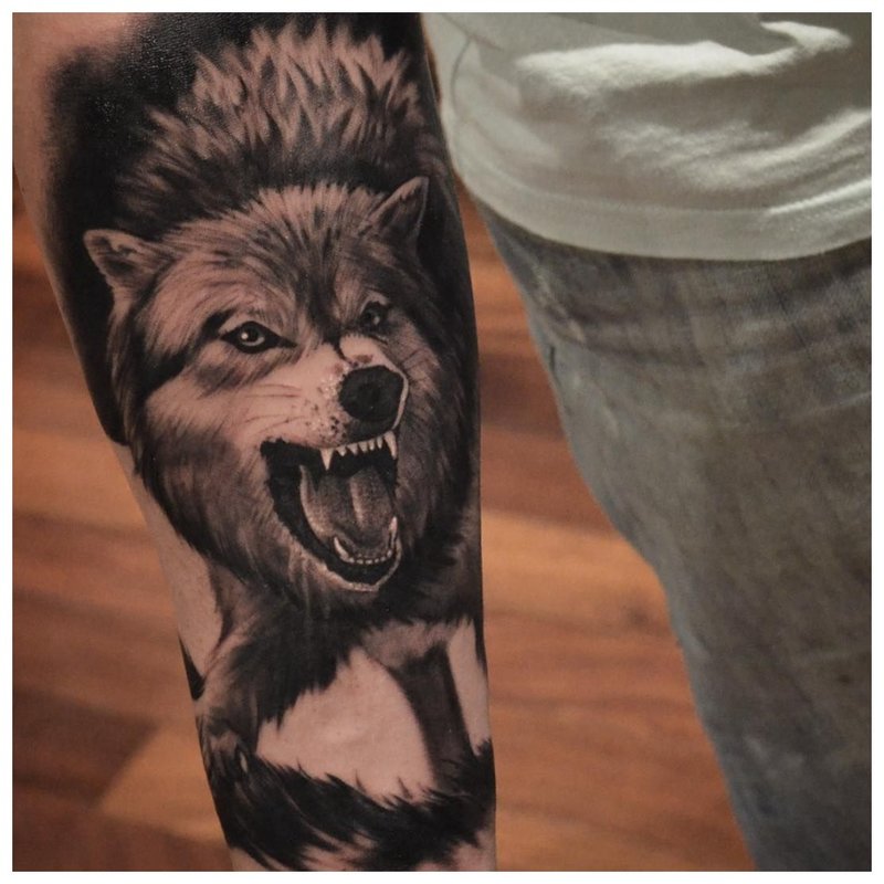 Tatouage de loup sur la main d’un homme