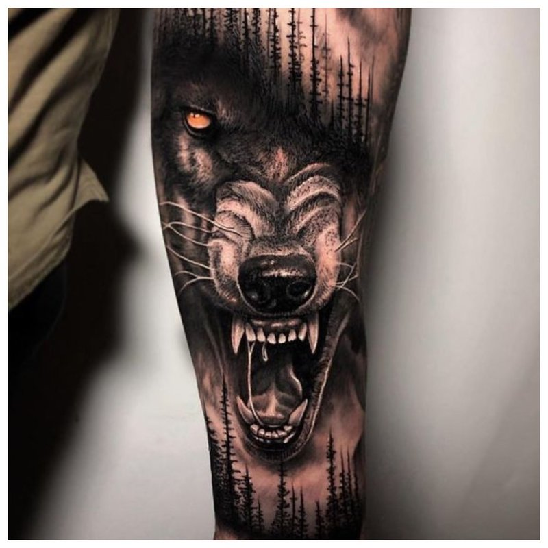 Angry Wolf - Tatouage Homme