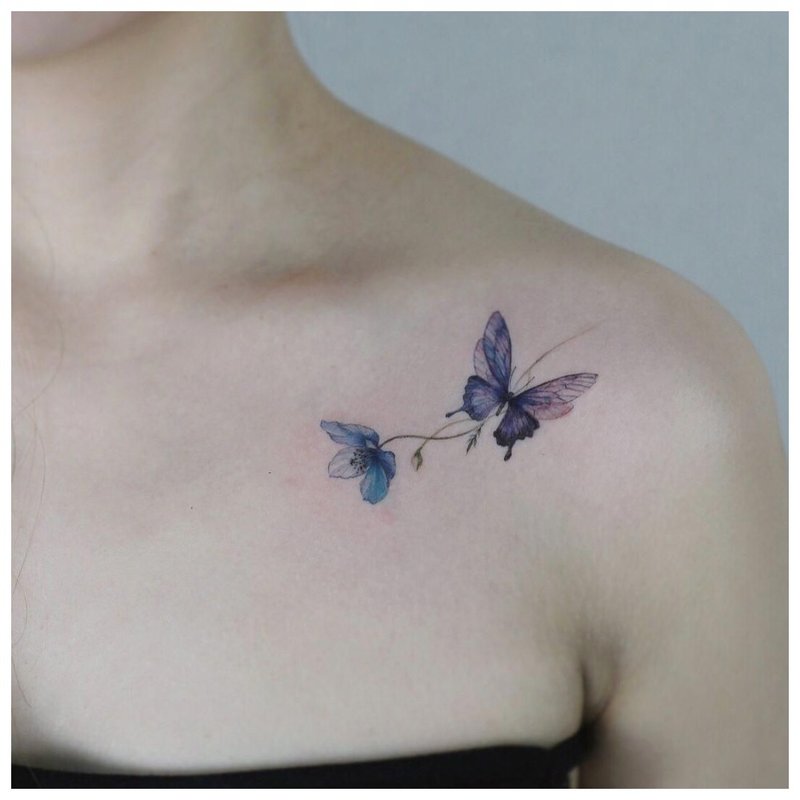 Clavicle butterfly