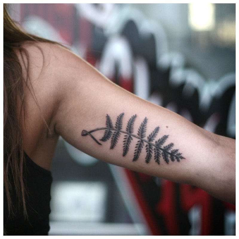 Rameau - tatouage sur le bras d'une fille