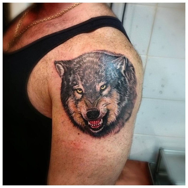 Sourire de loup - tatouage sur l'épaule d'un homme