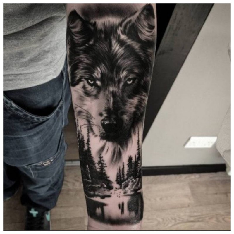 Ulve ansikt - tatovering på armen
