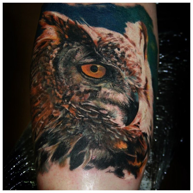 Owl realist