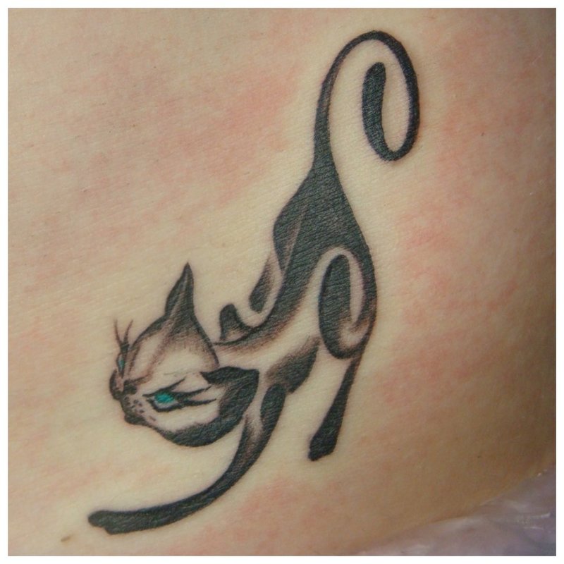 Kitty tatovering