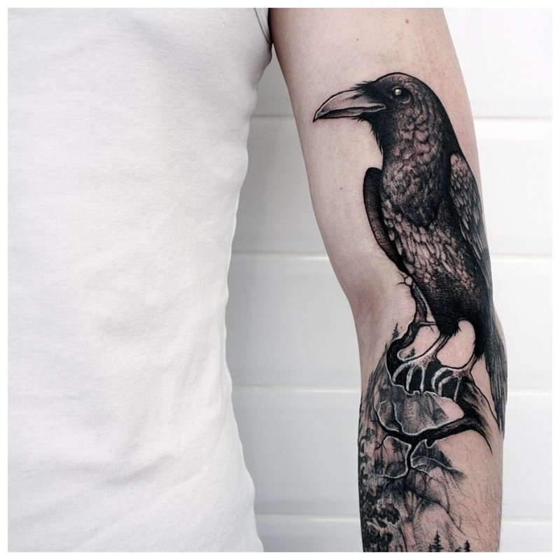 Fugl underarm tatovering på menn