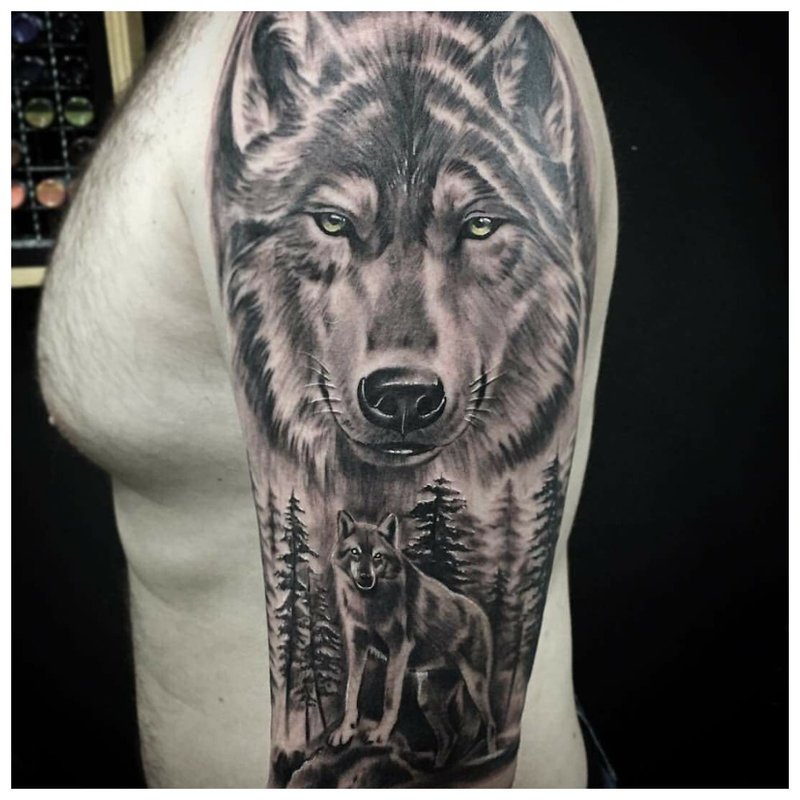 Realistisk ulv - tatovering på skulderen