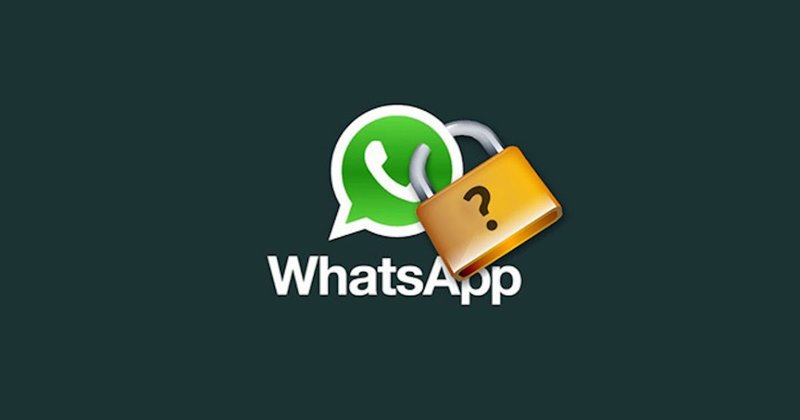 WhatsApp pentru confidențialitate
